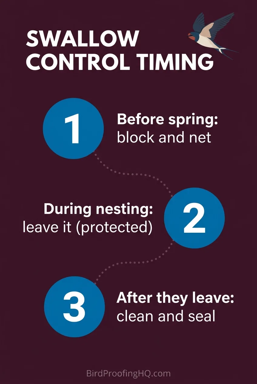 Swallow control timing: before spring block and net, during nesting leave it (protected), after they leave clean and seal