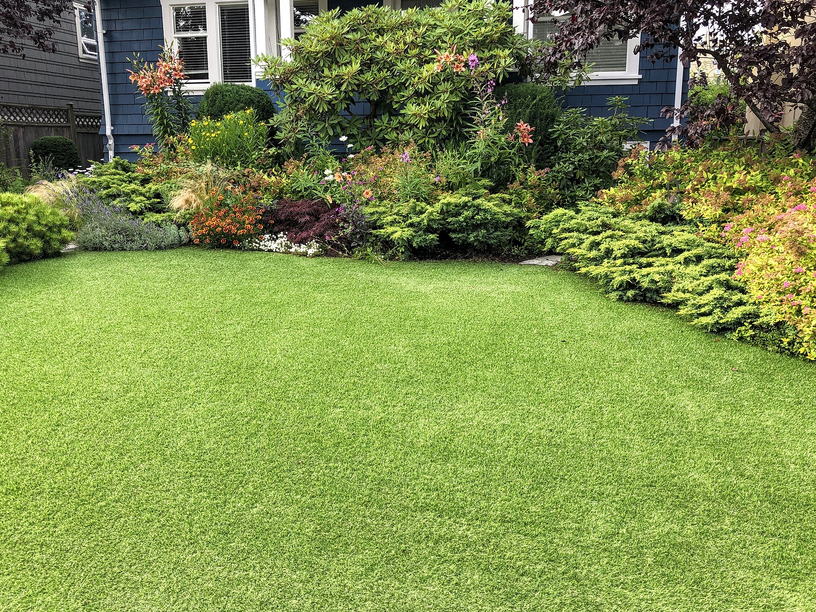 A beautiful lawn in the front yard