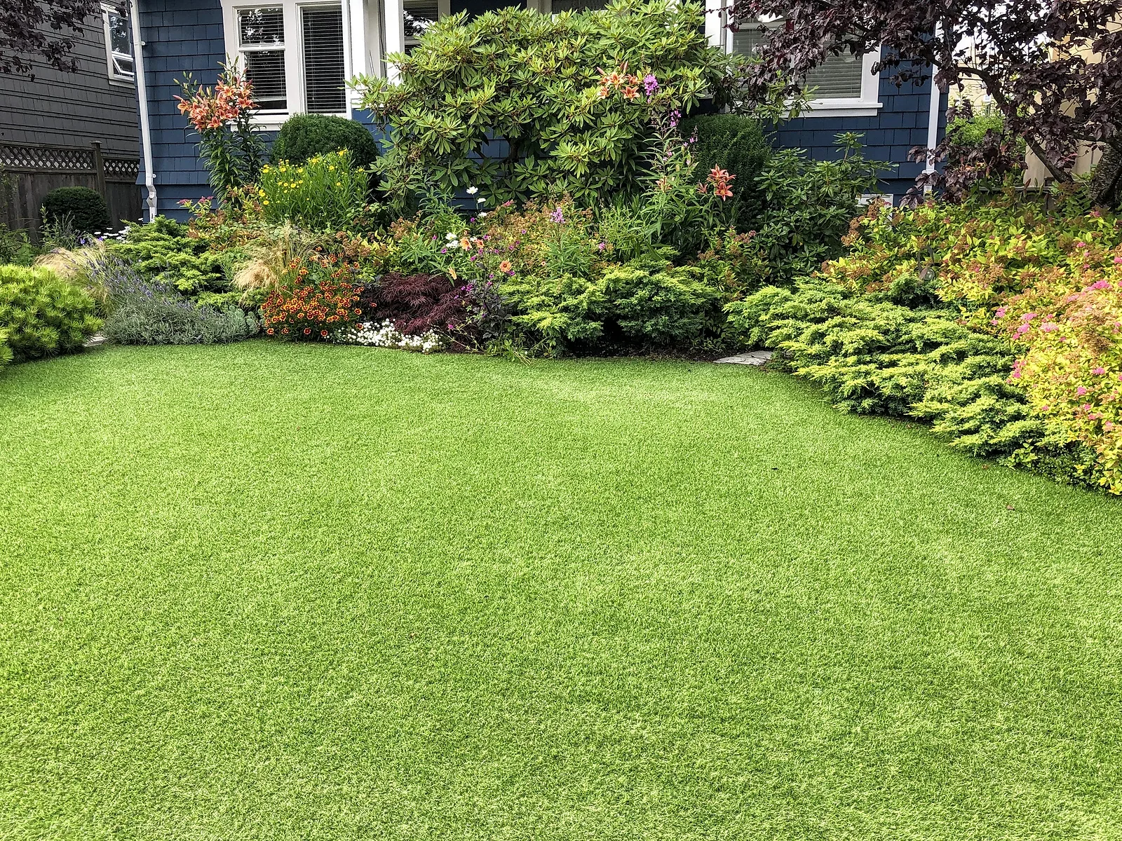A clean, well-kept yard that gives birds less reason to gather