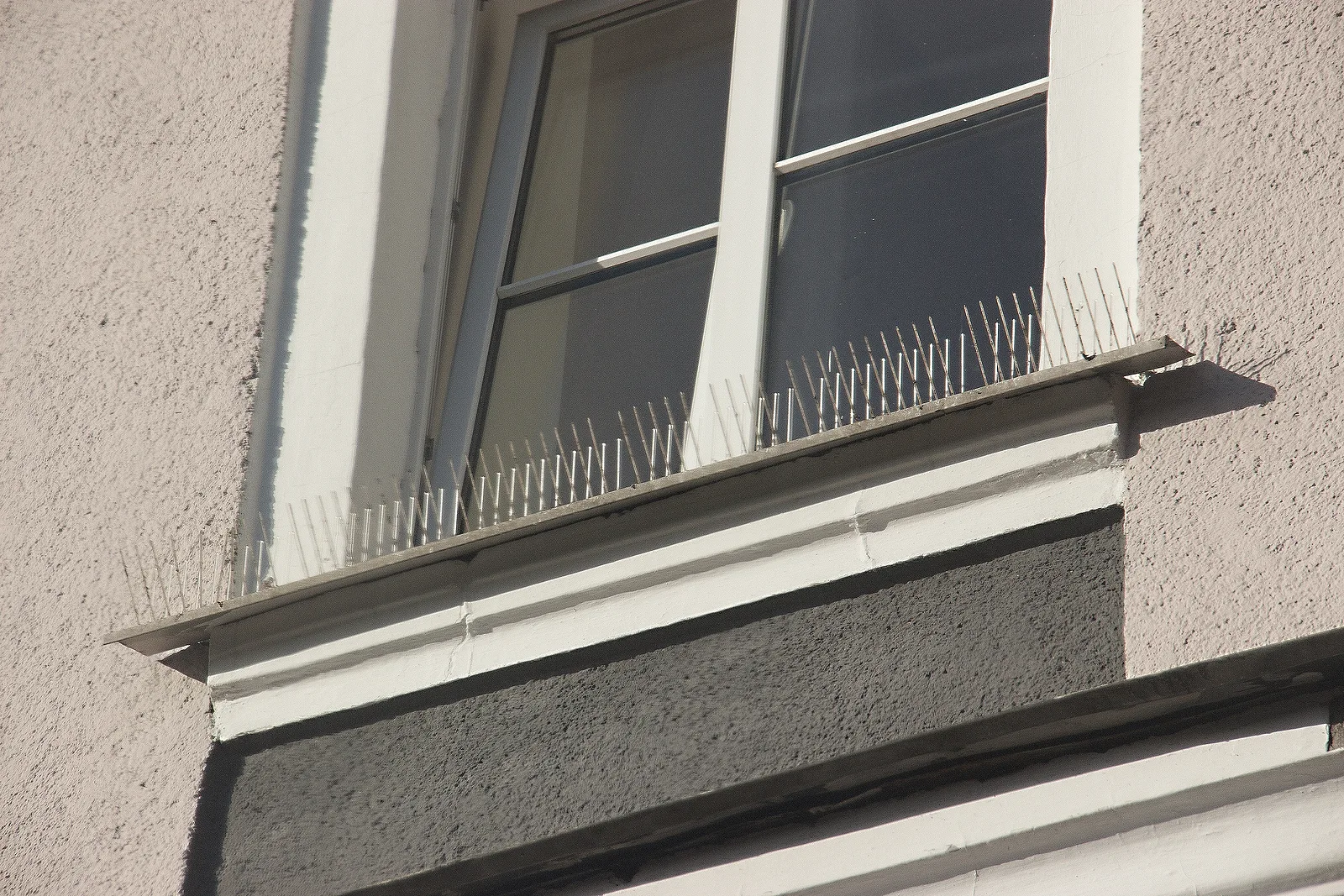 Bird spikes near a window