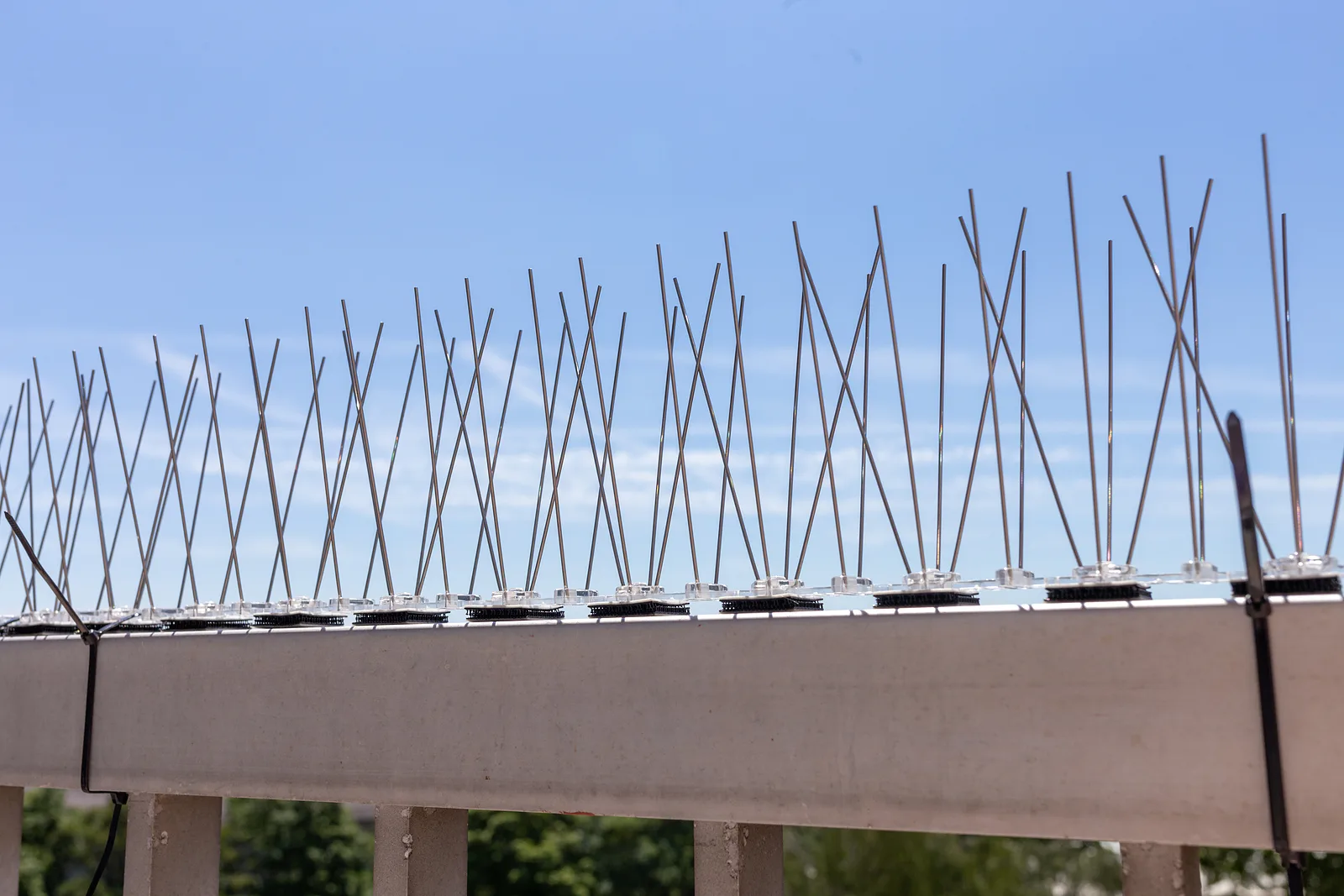 Bird Deterrents