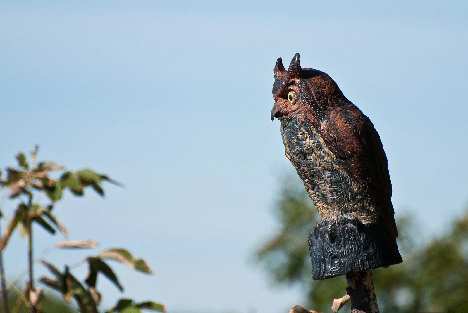 An Artificial Owl Keeping Watch Over the Area