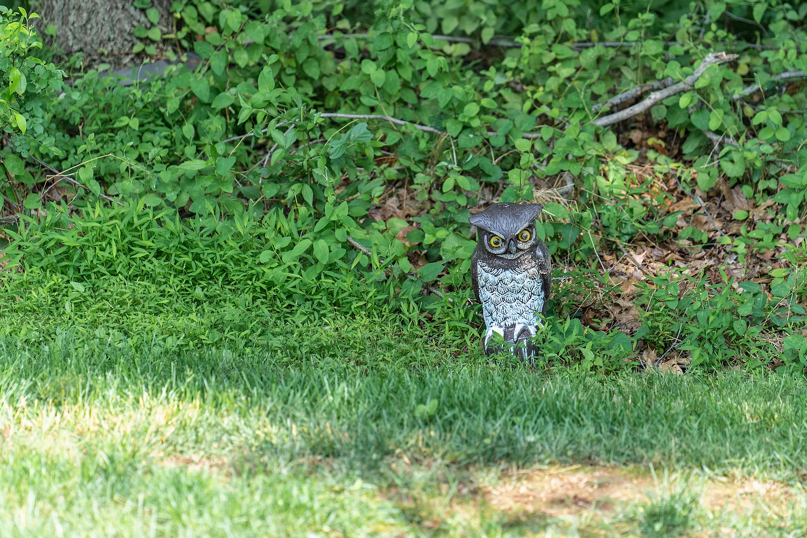 Owl decoy bird deterrent