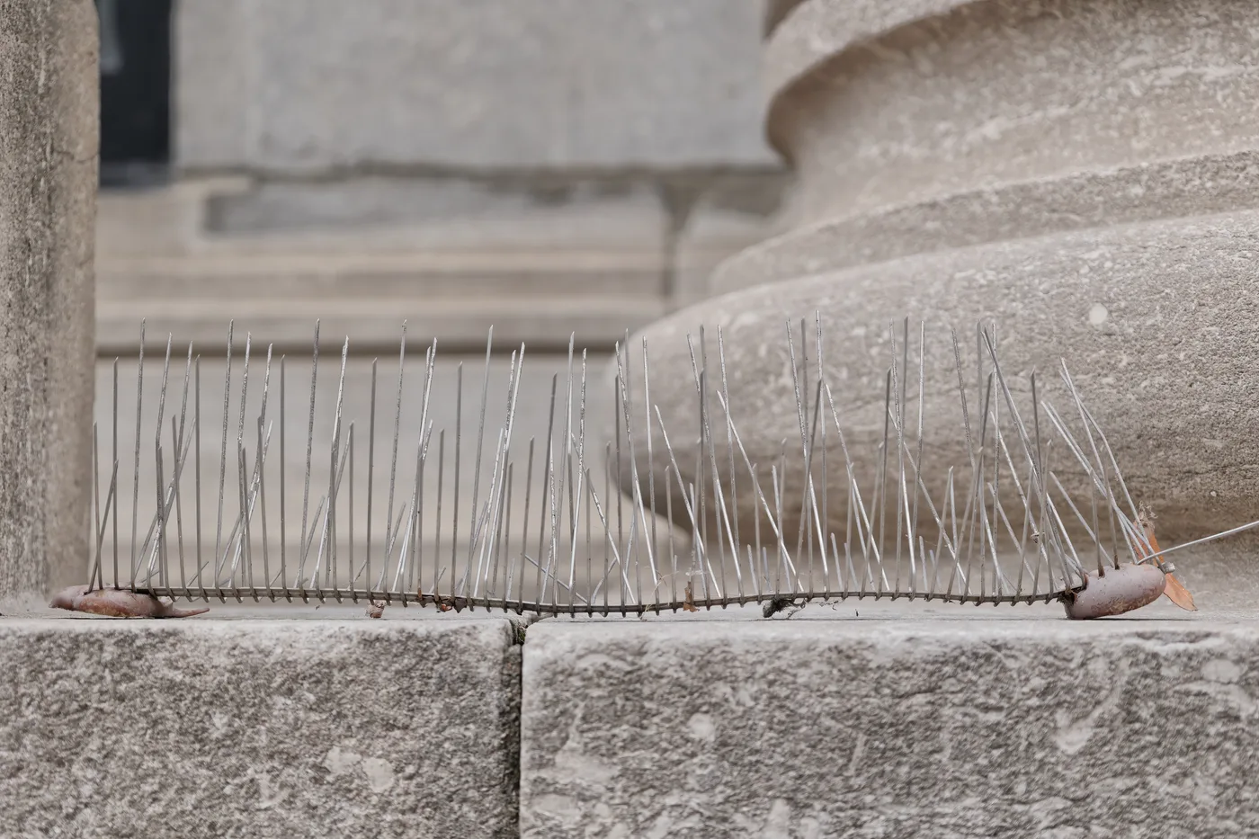 Bird control spikes installed on a stone ledge