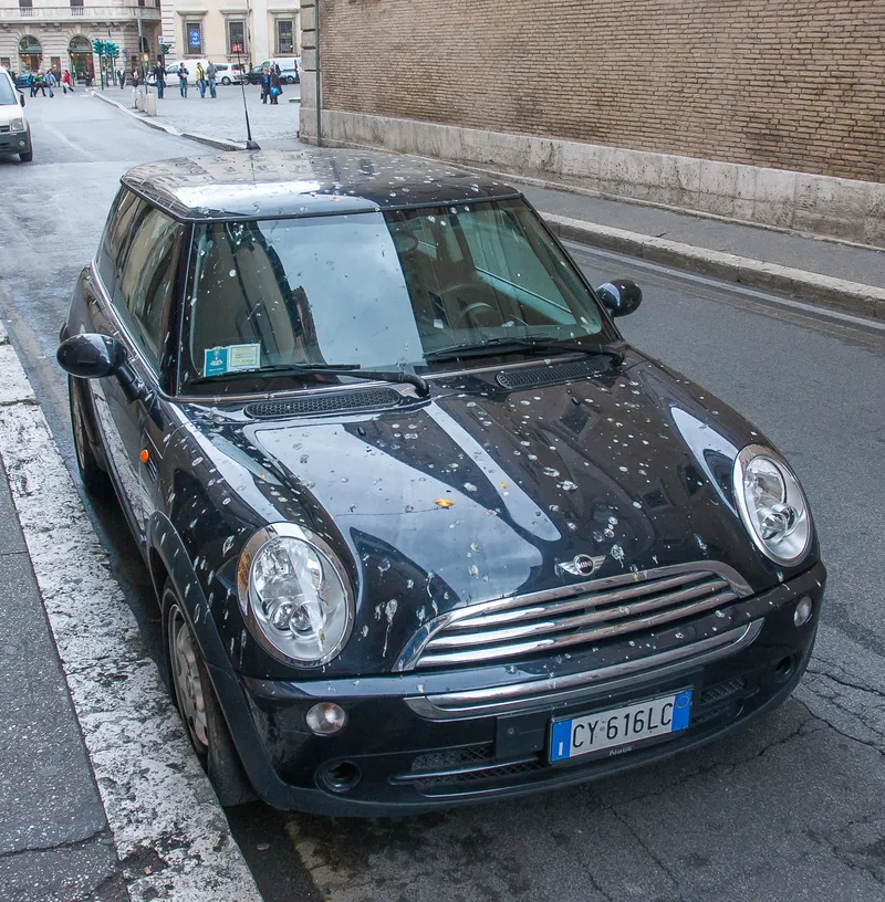Bird droppings covering a parked car in Rome, a common sight wherever birds roost overhead