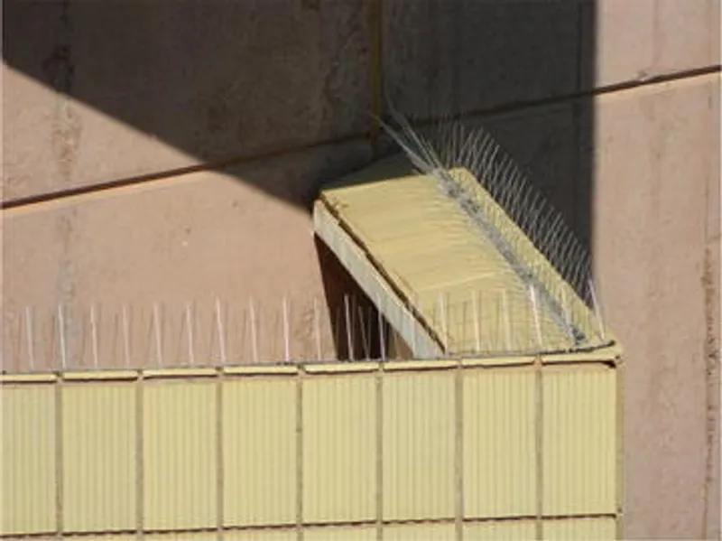 Steel bird spikes installed along a narrow ledge on a building exterior