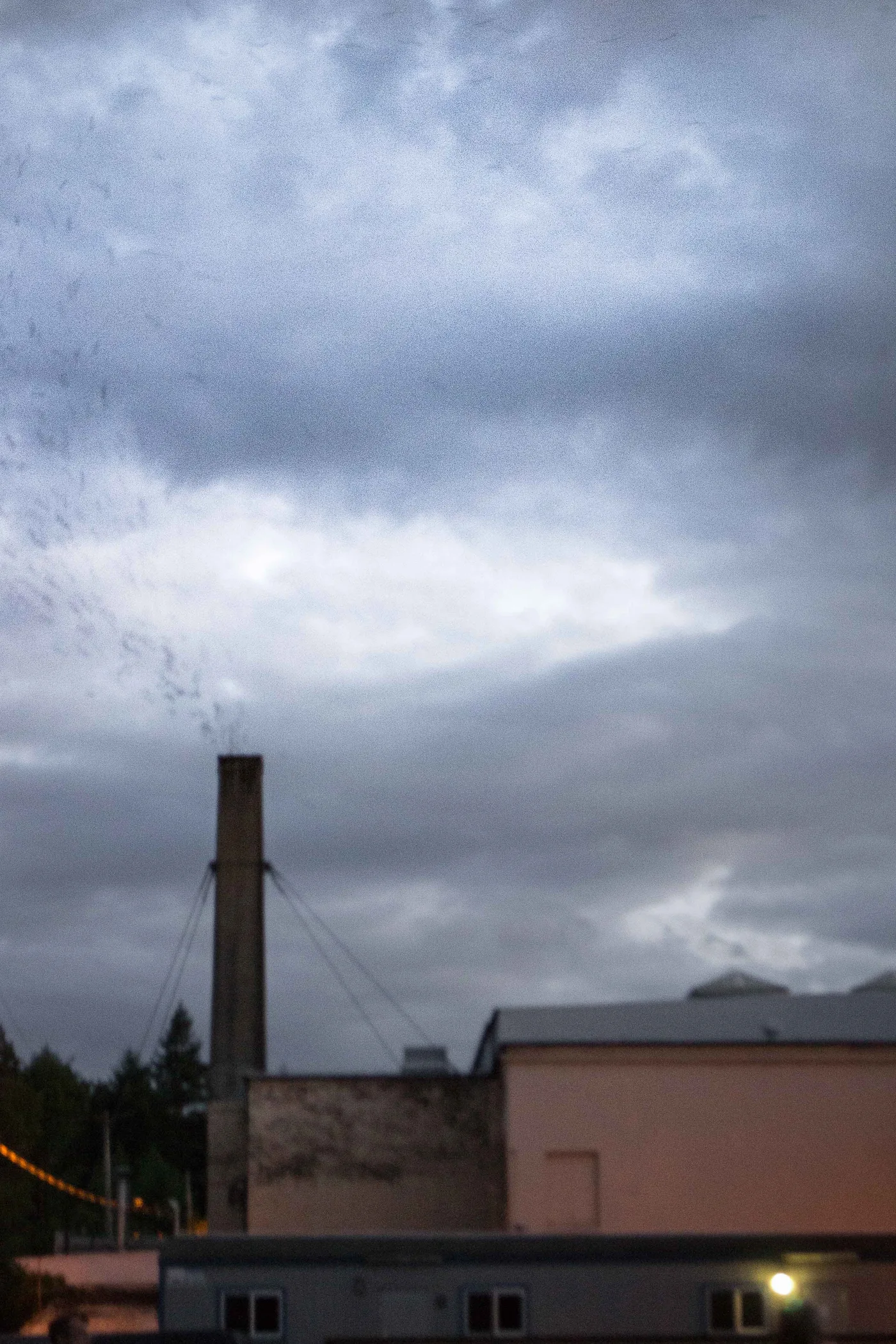 A swirling flock of chimney swifts pouring into a chimney at dusk, the kind of communal migration roost that forms in late summer