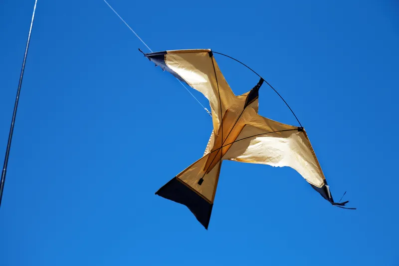 A hawk kite on a pole, a visual deterrent used to scare birds away from open areas by mimicking a hunting raptor