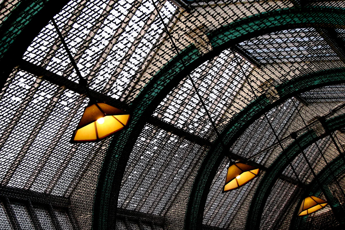 Pigeon netting installed across the ceiling of South Kensington station in London, blocking bird access to the structure